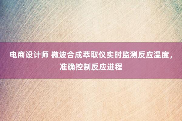 电商设计师 微波合成萃取仪实时监测反应温度，准确控制反应进程