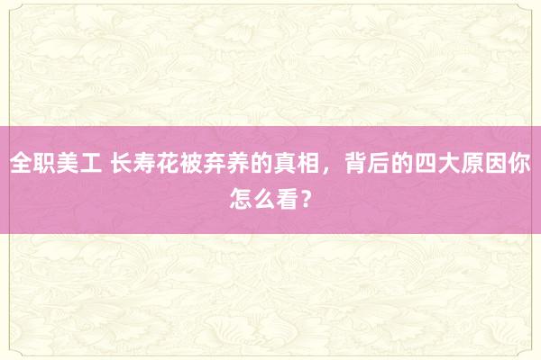 全职美工 长寿花被弃养的真相，背后的四大原因你怎么看？